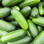 Organic Cucumbers