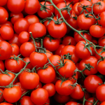Organic Tomatoes